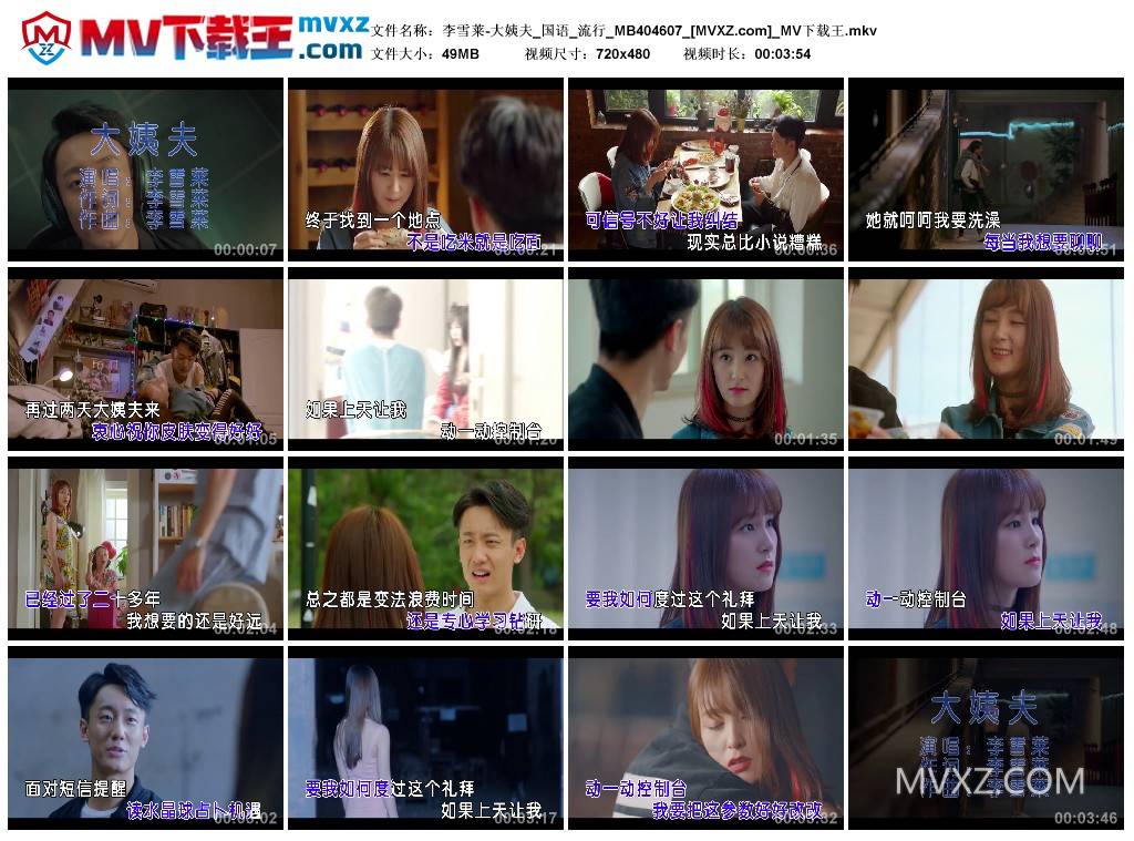 李雪莱-大姨夫_国语_流行_MB404607